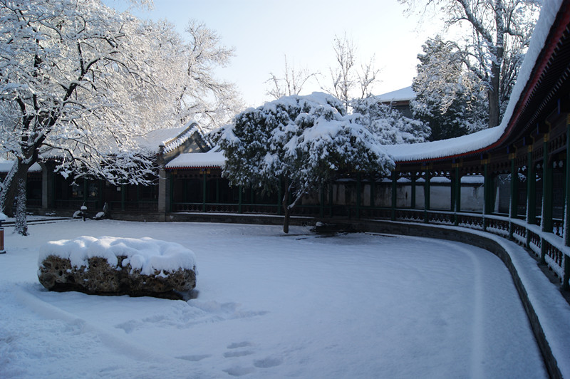 每日一校北京大学,每日一校领科教育