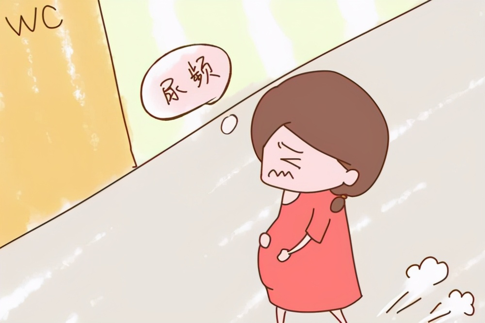 怀过孕和没怀过孕的最明显区别,从来没怀过孕怀孕的几率有多高