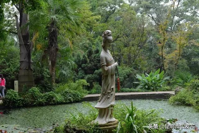 怎样成为云南人,怎样才能成为你想成为的人