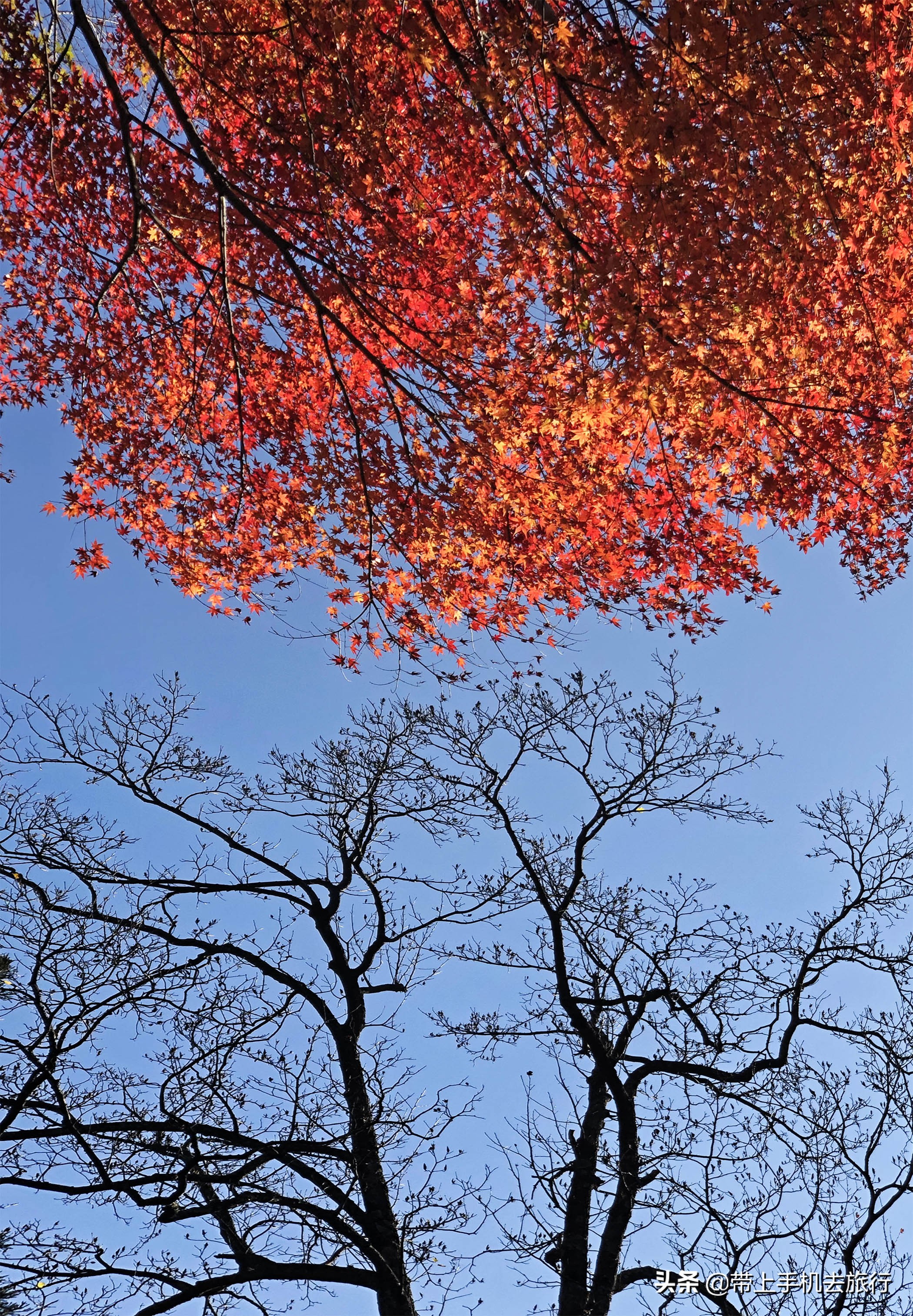 选择大于努力图片动画,选择大于努力坚持创造奇迹的图片