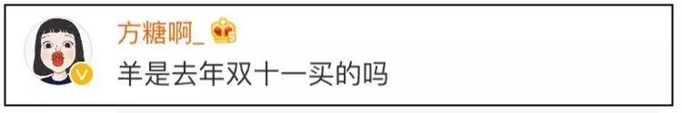 双11购物狂冠军视频,双11购物荒冠军排名