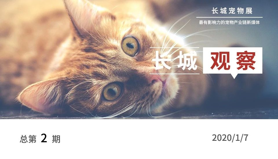 宠物用品销量暴增,宠物用品市场问题现状