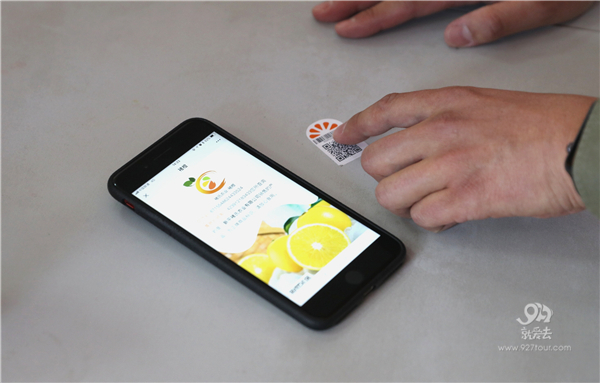 辨别真假褚橙的方法来了，买了褚橙和正要买褚橙的人一定要看过来