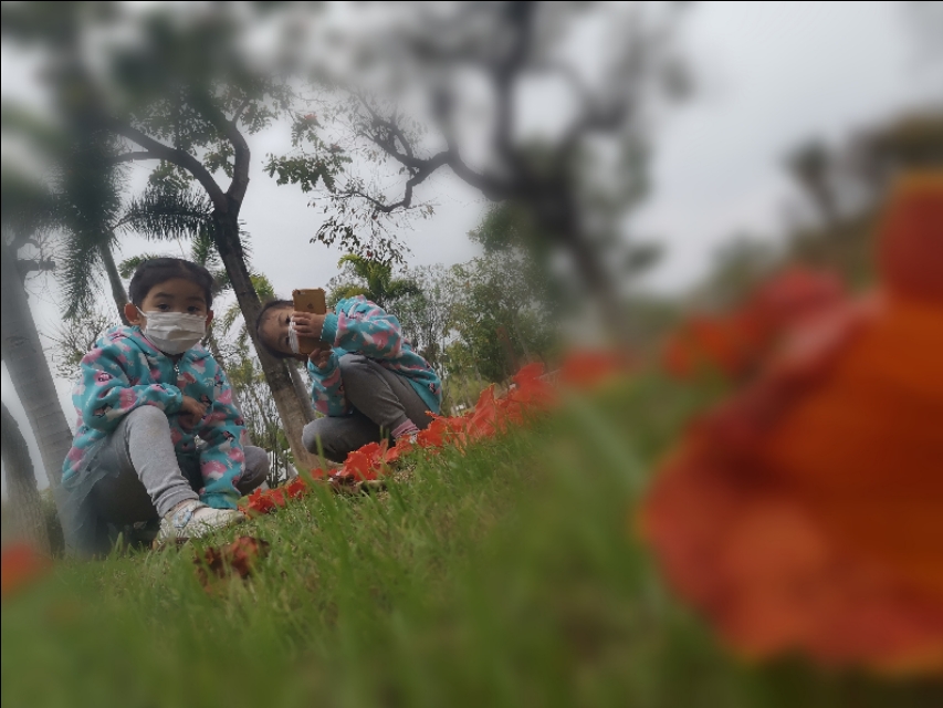 厦门园博苑带娃游玩攻略,厦门遛娃公园