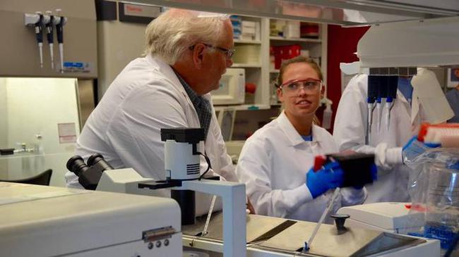 让美军损失惨重,威胁2亿人生命安全!中国神药如何攻克千年瘟疫