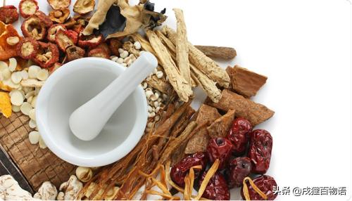 细小病是不是需要给狗狗喂消炎药,狗狗细小病用什么方法治疗最快