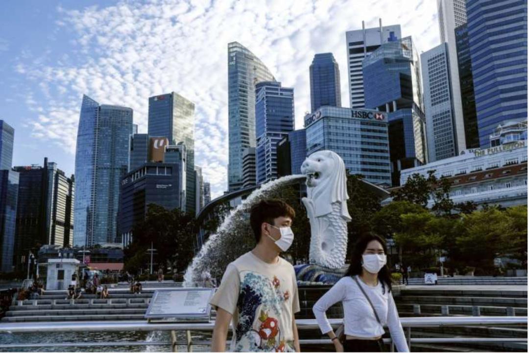 台湾捐新加坡口罩,台湾捐口罩给德国