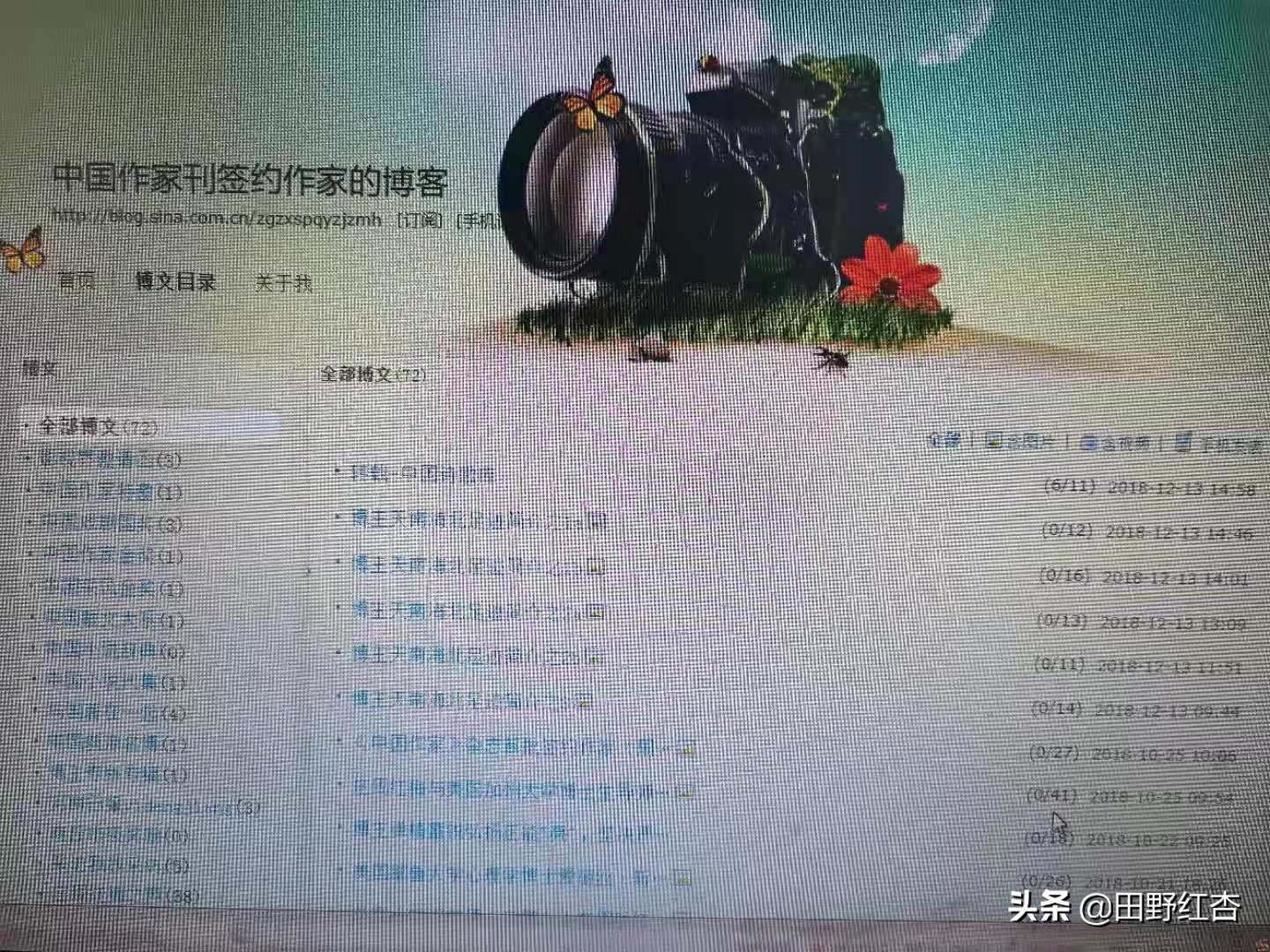 中国新浪明星博客圈入选标准是什么？田野红杏凭借什么入选的