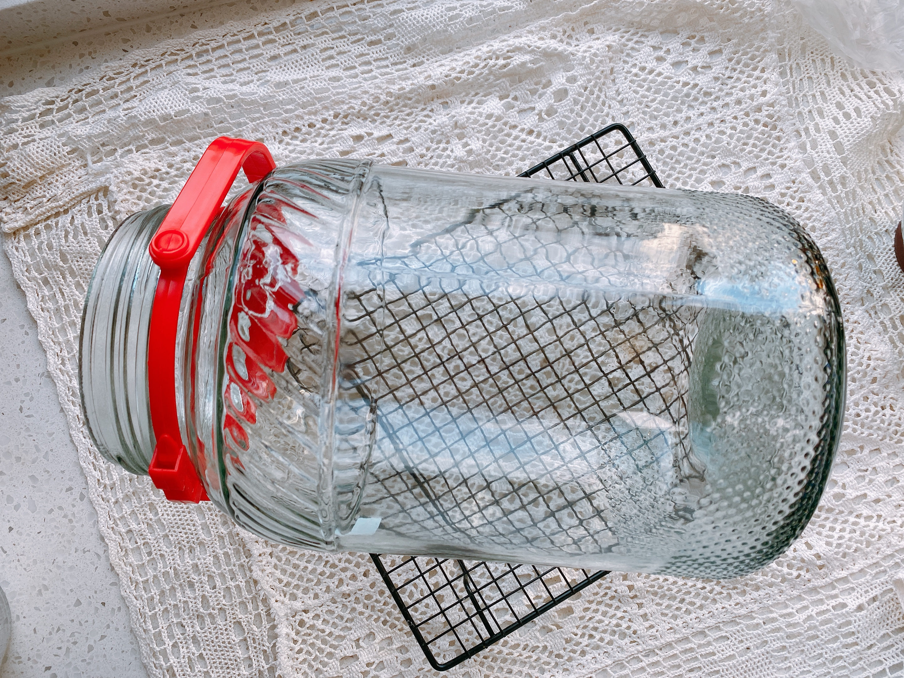 泡杨梅酒的教程十斤酒放多少杨梅,老品种杨梅泡制方法