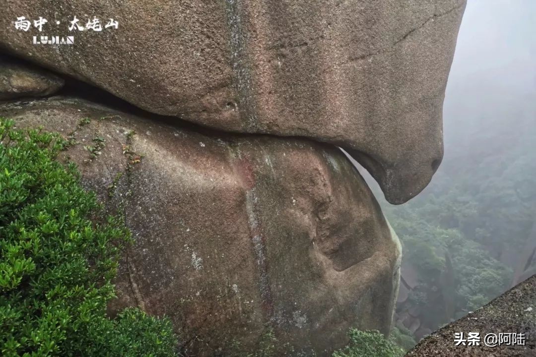 海上仙都太姥山阅读,福鼎太姥山5a景区海上仙都