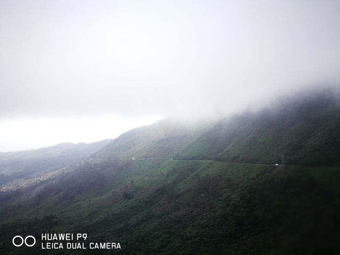 华人在越南经济地位,华人在越南的历史