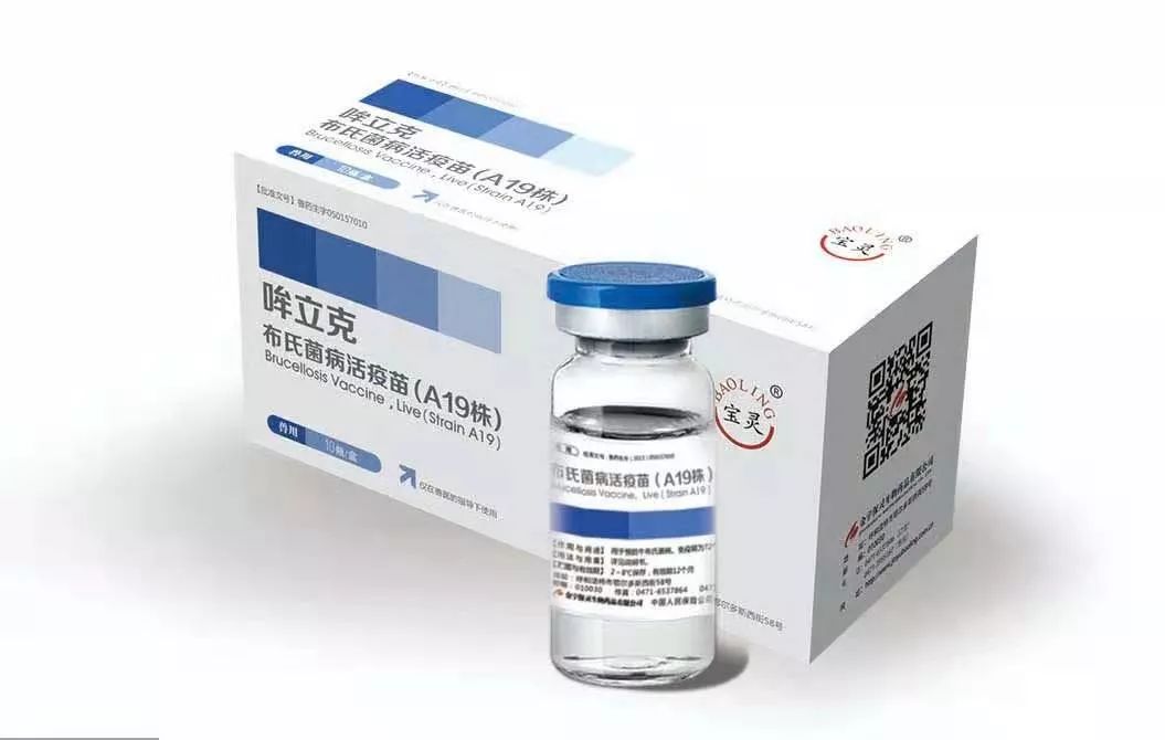 金宇生物第一届BVD/IBR教育培训会（BIET）——疫病防控专题研讨