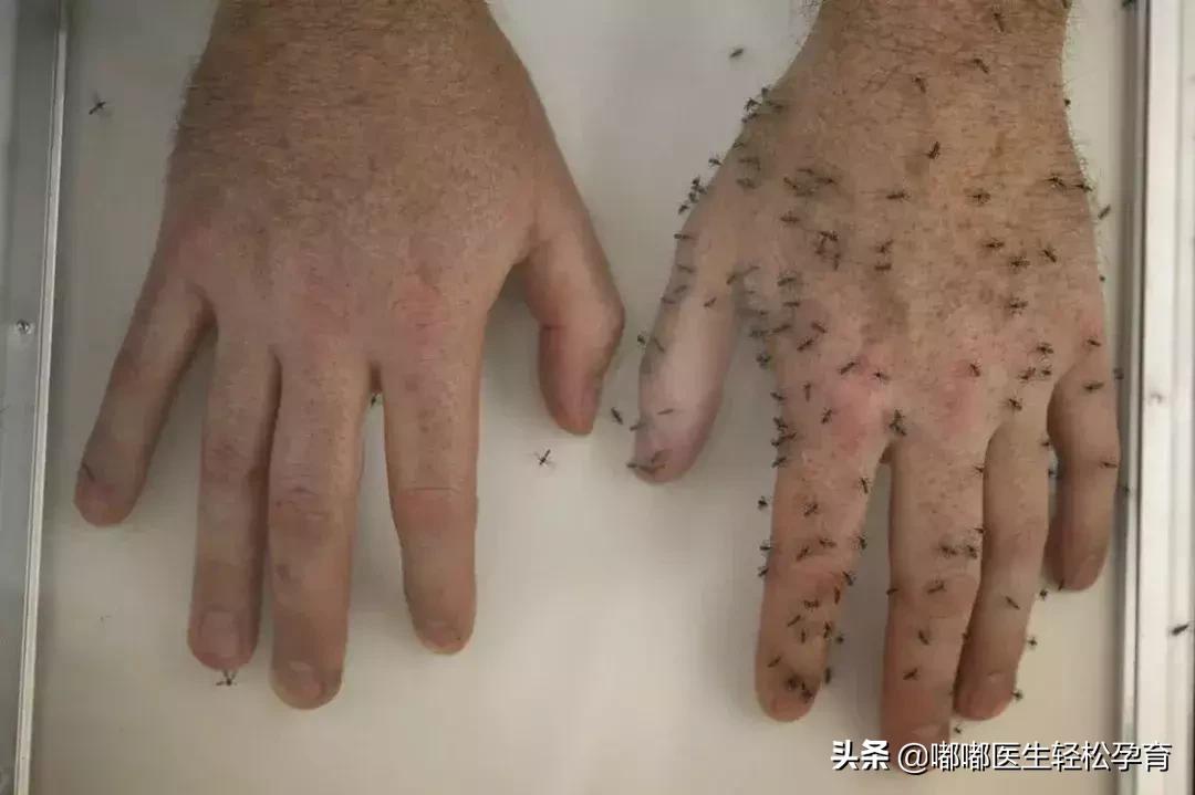 润本驱蚊液这个牌子怎么样,儿童无毒驱蚊液哪个品牌好