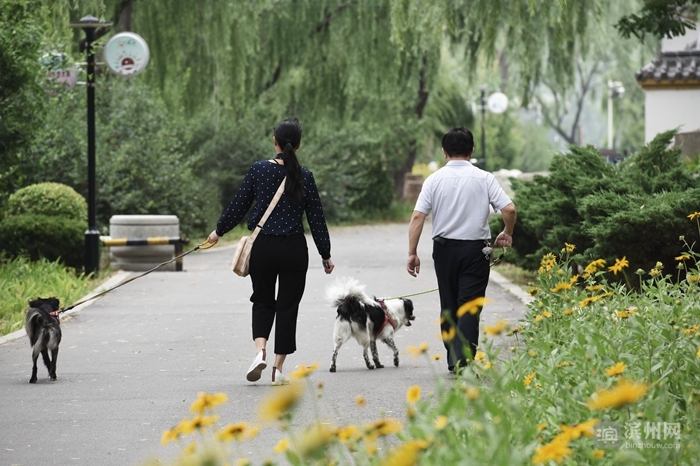 滨州摄影师吕维君：用心感受每一次快门的灵动