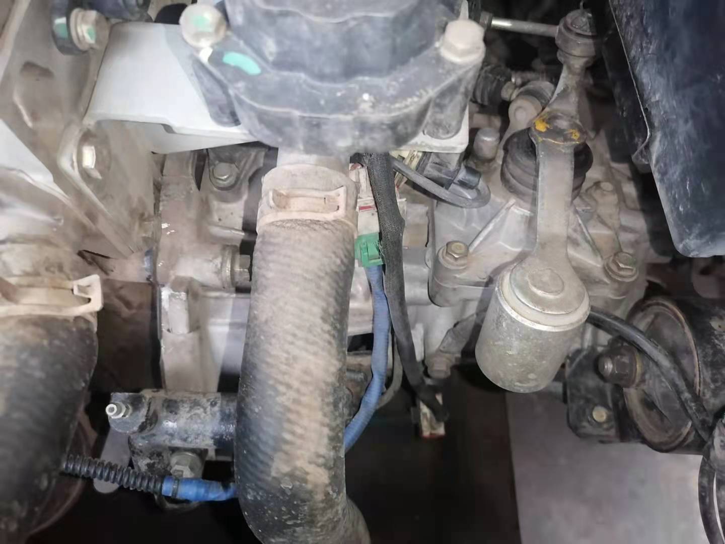 胖哥二手车最新视频,胖哥买二手车