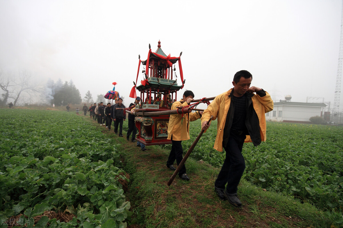 半夜出现公驴叫，母驴发情被*引勾**