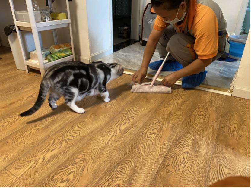 目前最火的家政app是什么,有没有好用靠谱的家政平台