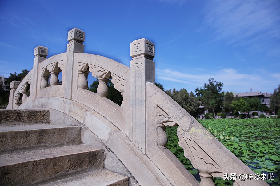 保定古莲花池是皇家园林,保定古莲花池始建于哪个朝