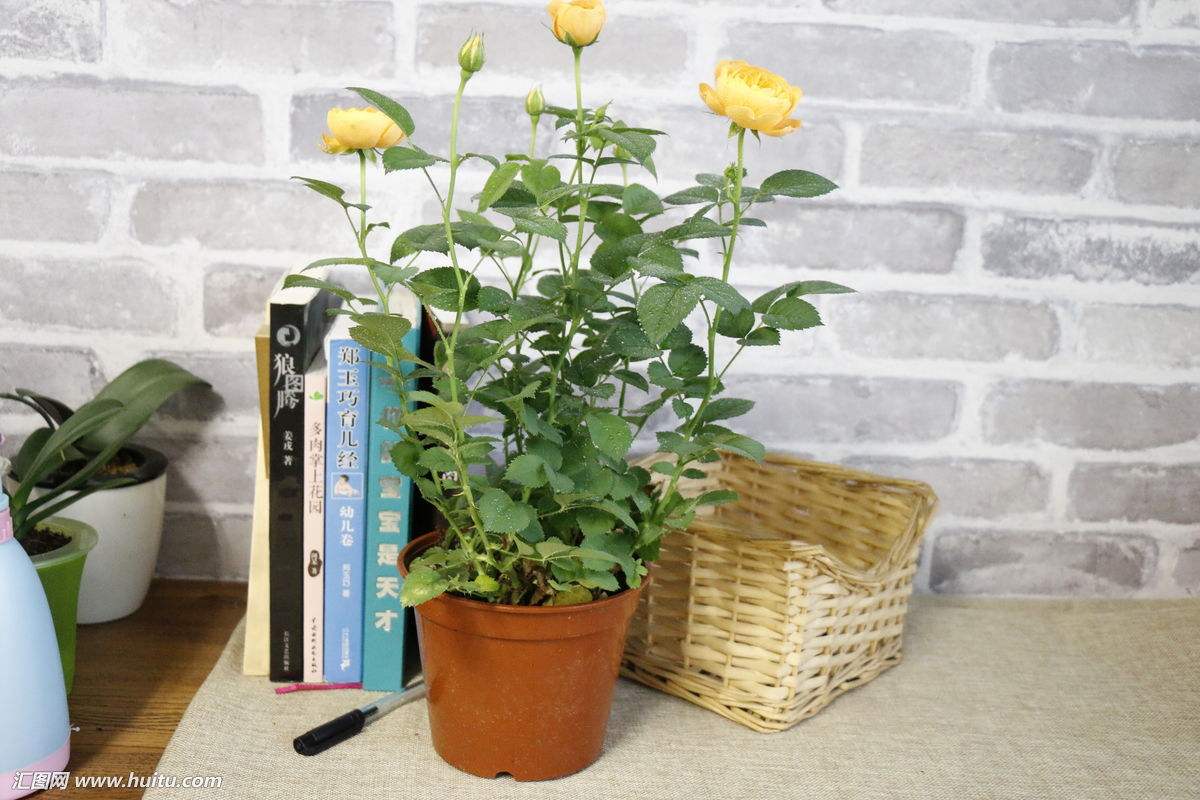 大学生活很无聊？做做这些吧！