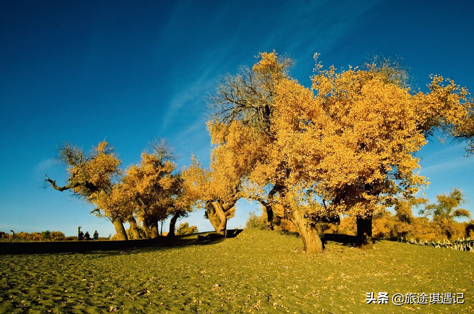 去北疆好还是南疆好,去新疆的南疆关注什么事项