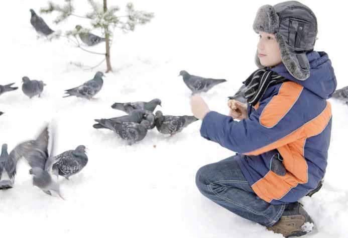 冰雪城市俄罗斯,冰雪之城