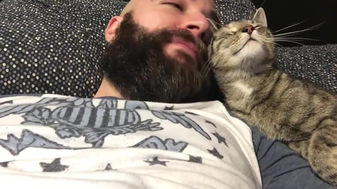 为什么养猫的人越养越多,养猫人越早知道对猫咪越好的事情