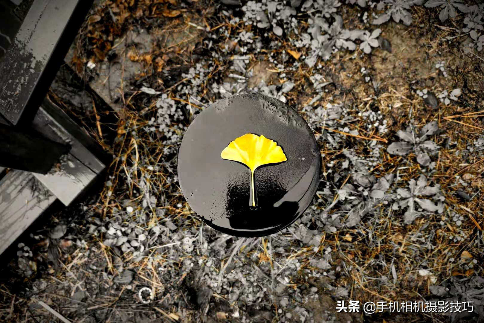 为什么拍照片总感觉不好看,为什么每次拍照片都不好看呢