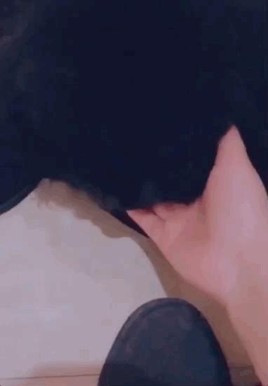 养狗真实感受图片,养狗真实的感受