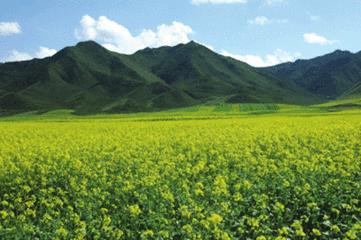 甘肃兰州最大的区,兰州最大的区是哪个区