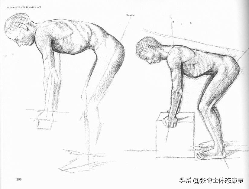 弯腰痛的康复训练,体态矫正疼哭