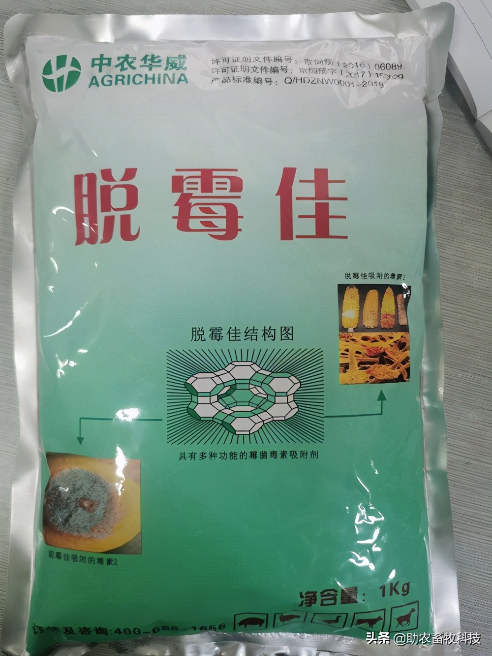 鹅肠道病的症状与治疗,快速判断鹅病的四种方法