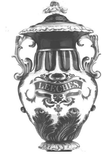 水蛭吸血可治病？结果几百年前的西方人因此导致梅毒的交叉感染