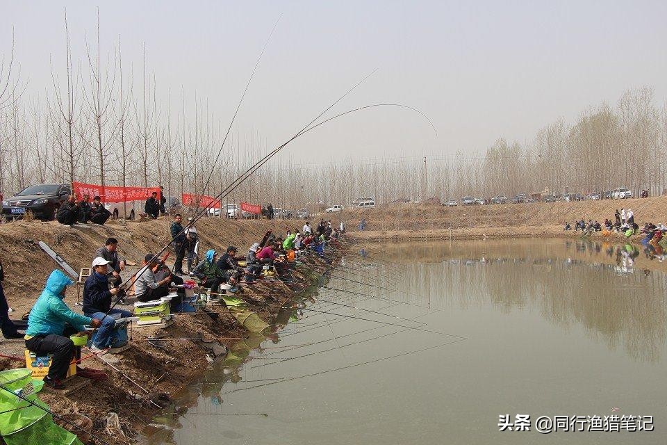 四种预防方法，四种扑救措施——轻松应对鱼竿拔节问题