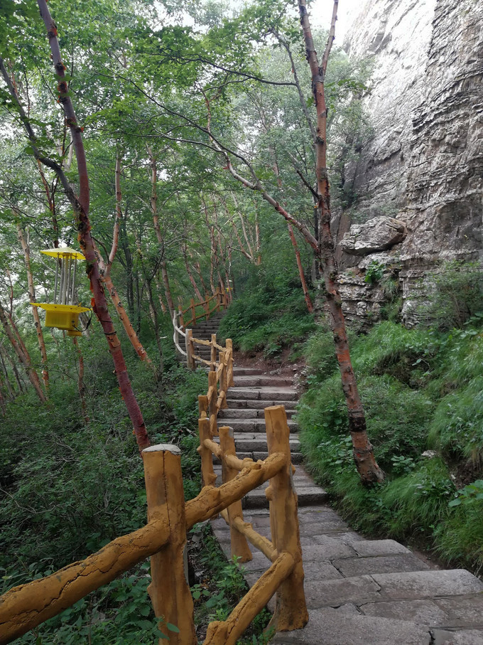 长白山山顶网红咖啡厅,妙峰山玫瑰谷巧遇网红咖啡