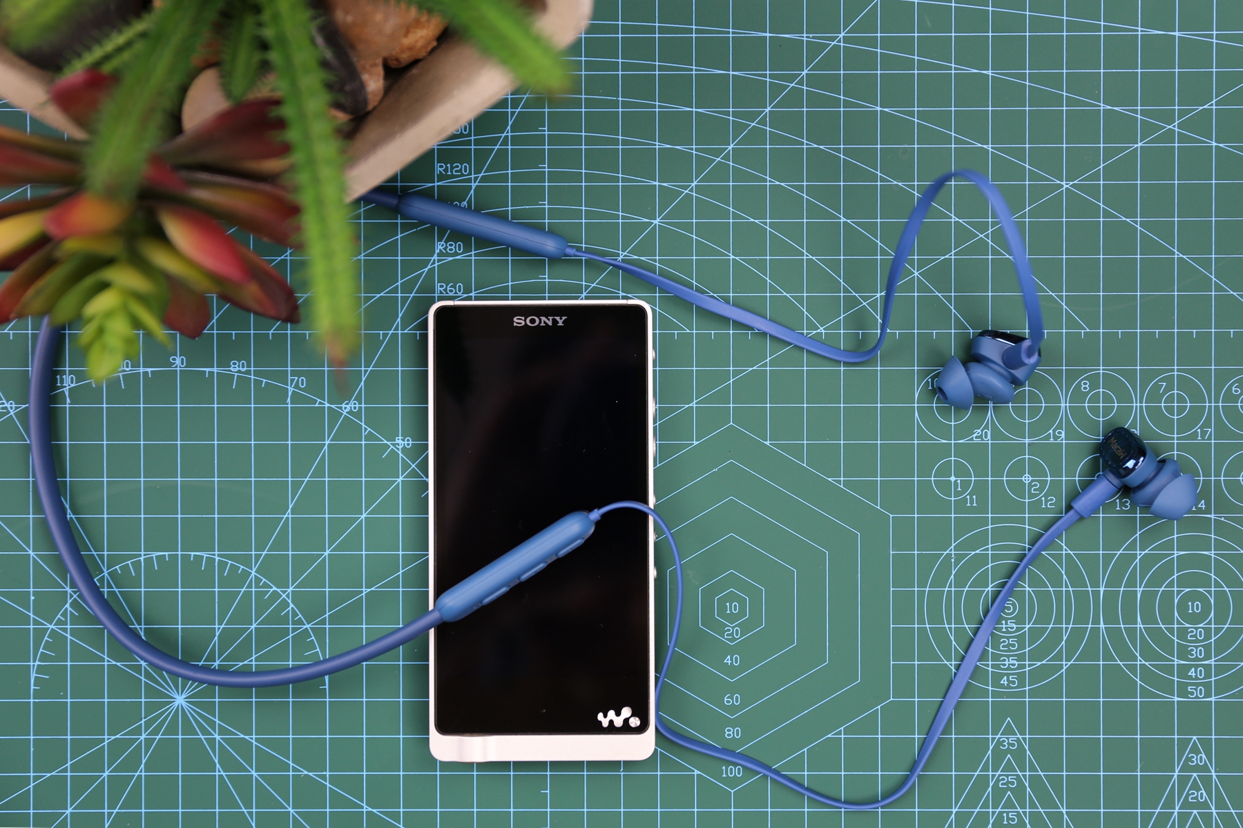 实力圈粉运动健儿，脉歌XT-80体验评测