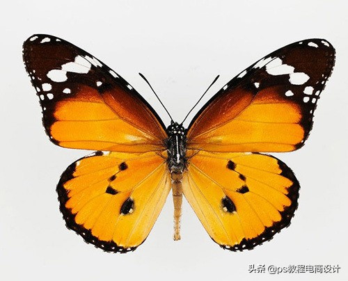 ps怎么把图片处理成水墨效果,ps怎么把实景做成彩色水墨效果