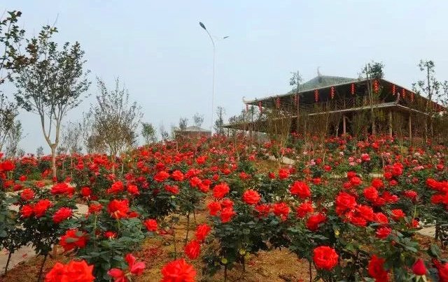 368元抢原价799元徐家庄旅游度假村~豪华木屋山景房+早餐+门票等