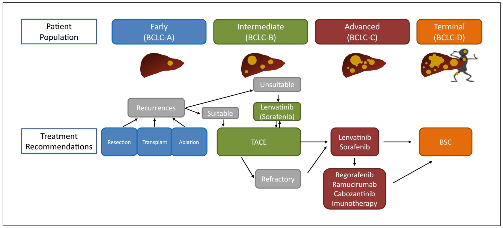 介入栓塞联合靶向药物治疗中晚期肝癌疗效更佳