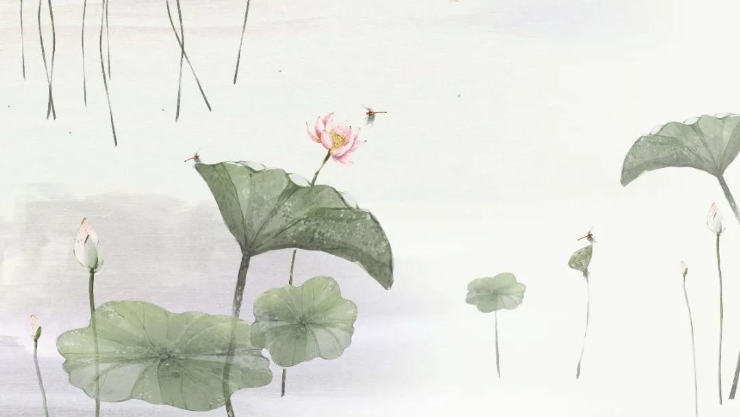 关于荷花的好词好句诗,收集描写赞美荷花的名言佳句