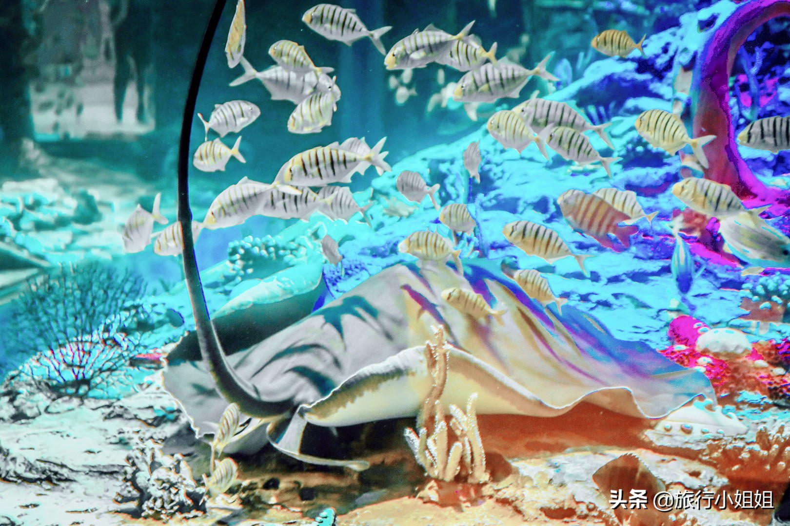 住在梦幻城堡,抚仙湖海豚湾住宿攻略