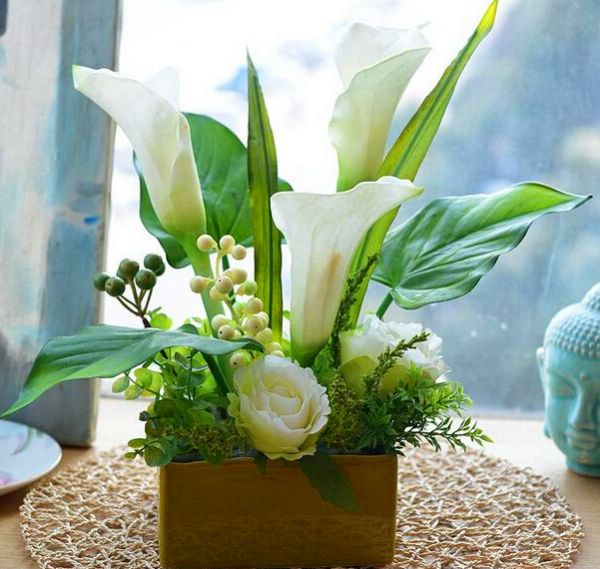 马蹄莲的种殖方法和关注事项,马蹄莲怎么催芽开花