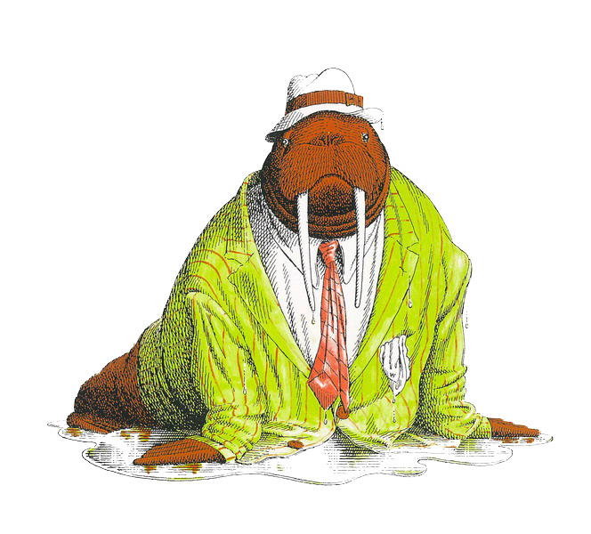 有意思的儿童绘本推荐书单,很有趣的小孩书