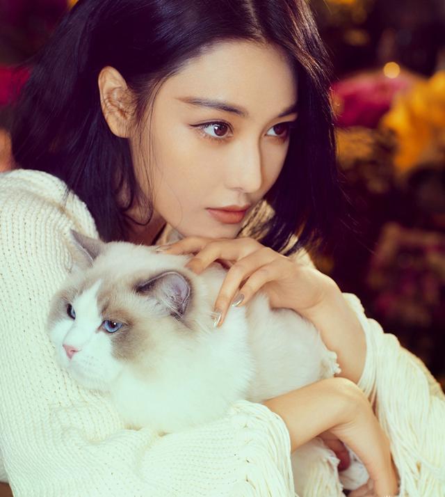 张馨予网购被骗,张馨予代购事件始末