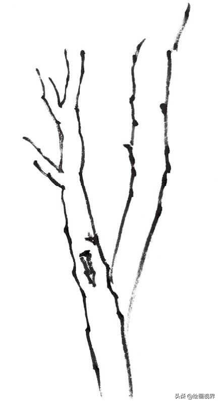 国画双钩树的画法入门,国画杂树与山石的画法图片
