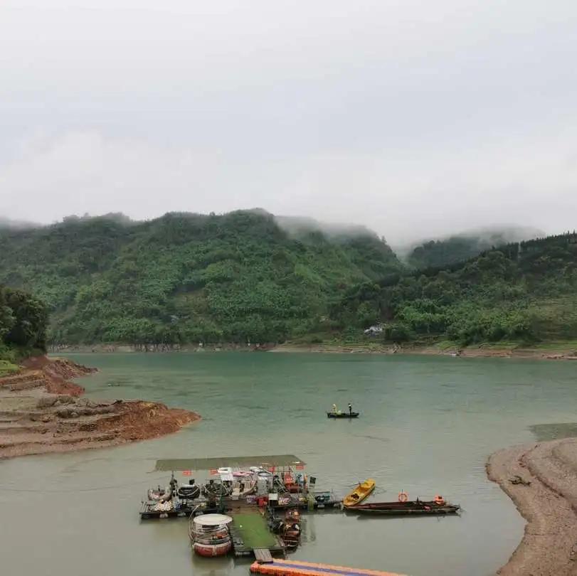 水库鱼一百斤,水库鱼100斤