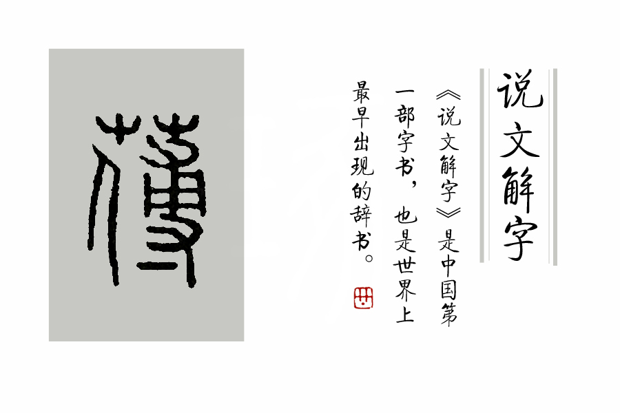 说文解字第339讲,说文解字第143课全集