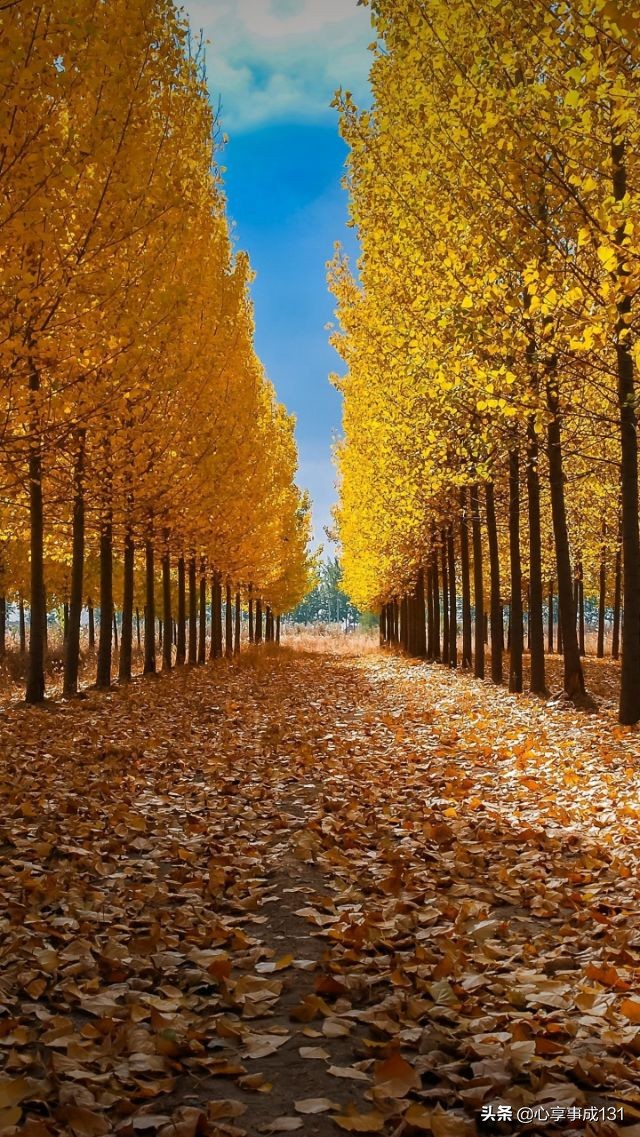 治疗儿童娇气的土方法,一个能保护孩子神奇偏方