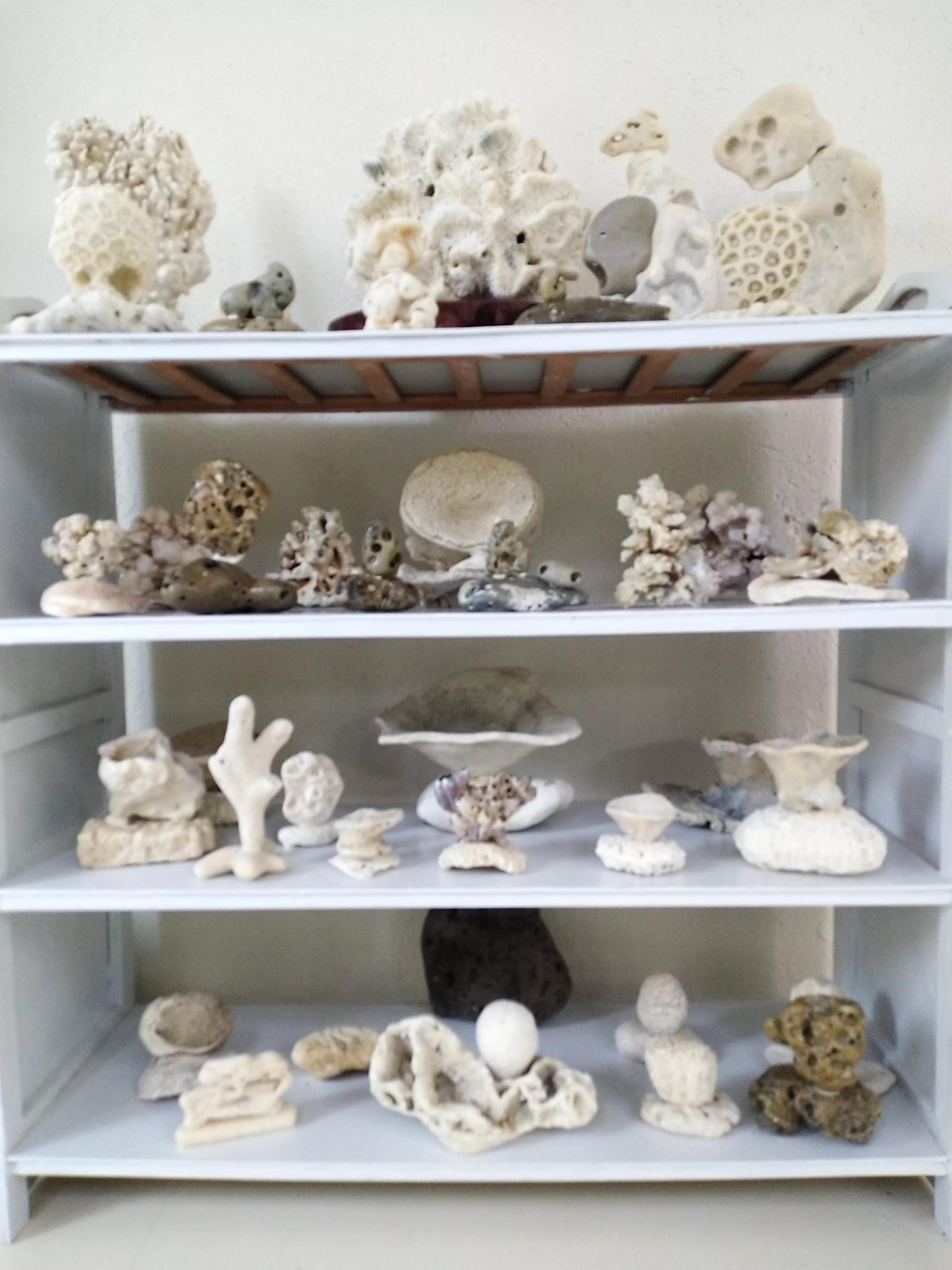 发现大自然的美的作文500字,发现大自然的美一篇作文