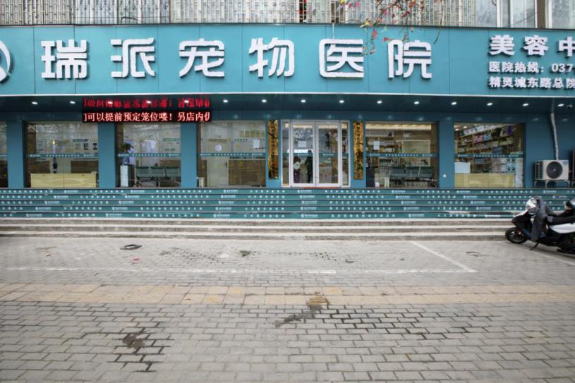 瑞派宠物医院告诉你最牛医院的正确打开方式