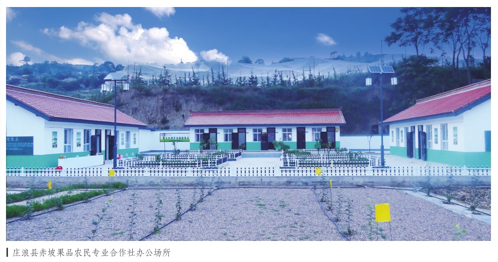 庄浪脱贫攻坚经验,庄浪县发展特色产业助推脱贫攻坚